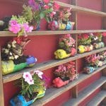 CasaOz - fioriere ricavate dalle bottiglie di plastica e riempite con le primule di primavera durante il laboratorio creativo